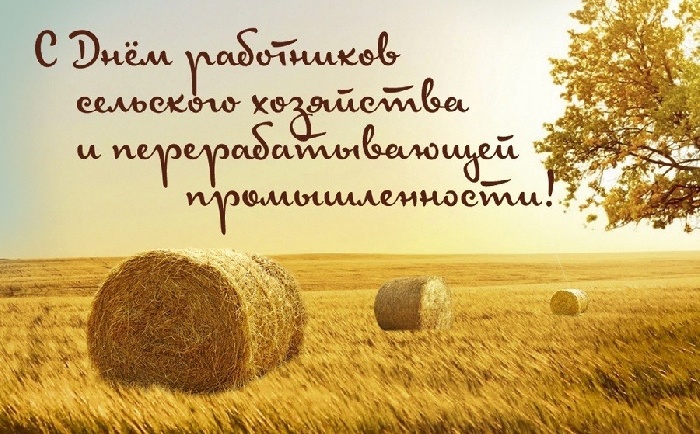 С Днем работника сельского хозяйства и перерабатывающей промышленности Липецкой области!