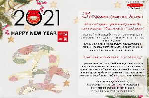 АНО «Японский центр» поздравляет АНО "ЦПЭ Липецкой области" С наступающим Новым годом и Рождеством !